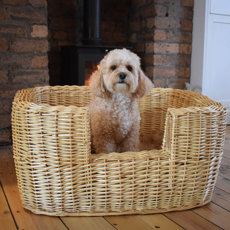 Best In Show - Winston Wicker Pet Bed (Large)