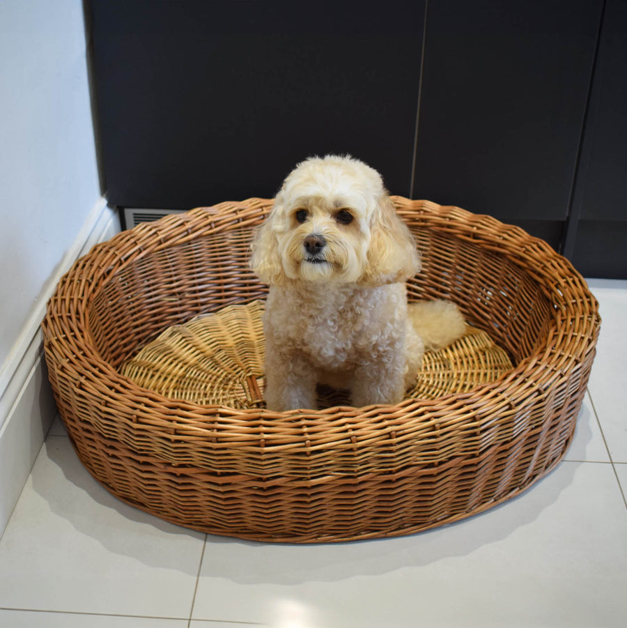 Best In Show - Darcy Wicker Pet Bed (Small)
